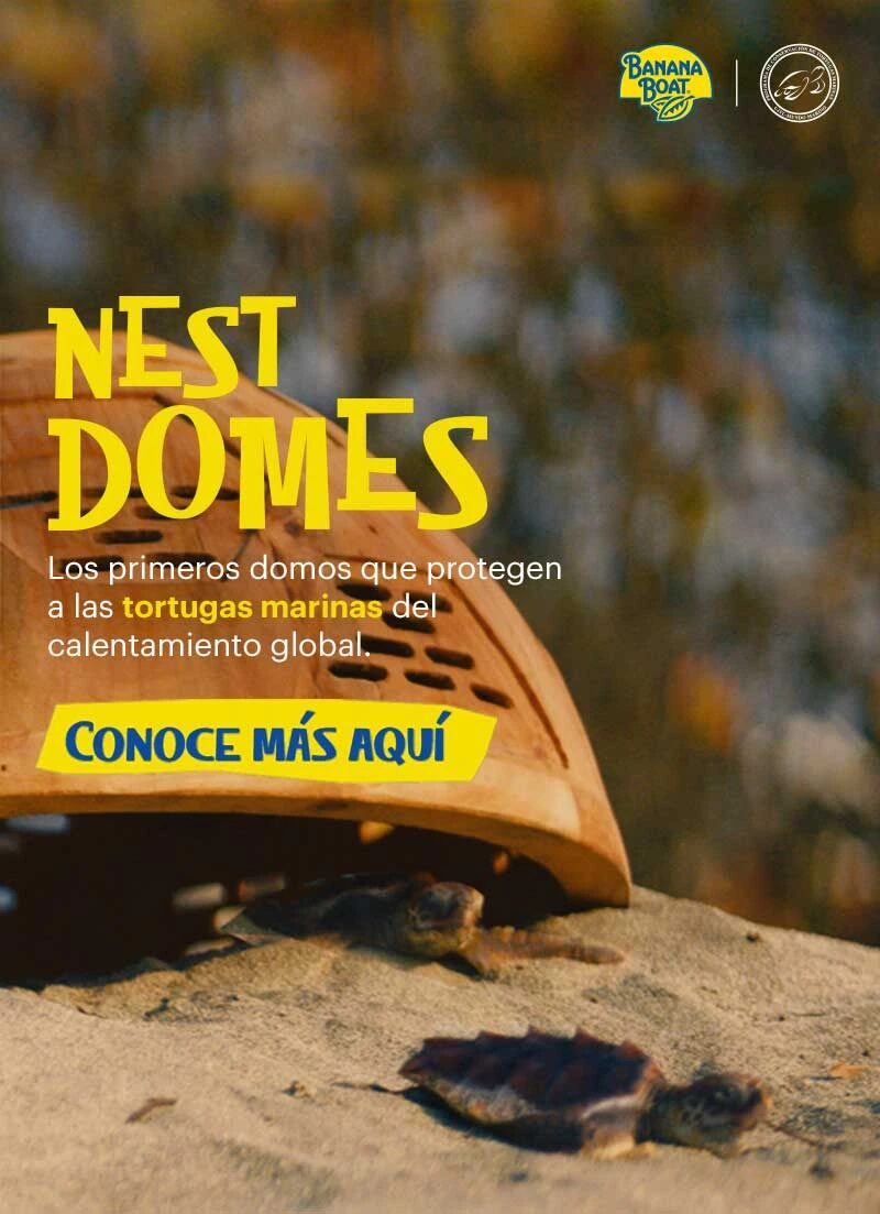 Nest Domes